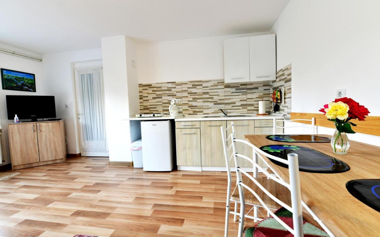 Apartment Stjepan Rakovica Extérieur photo
