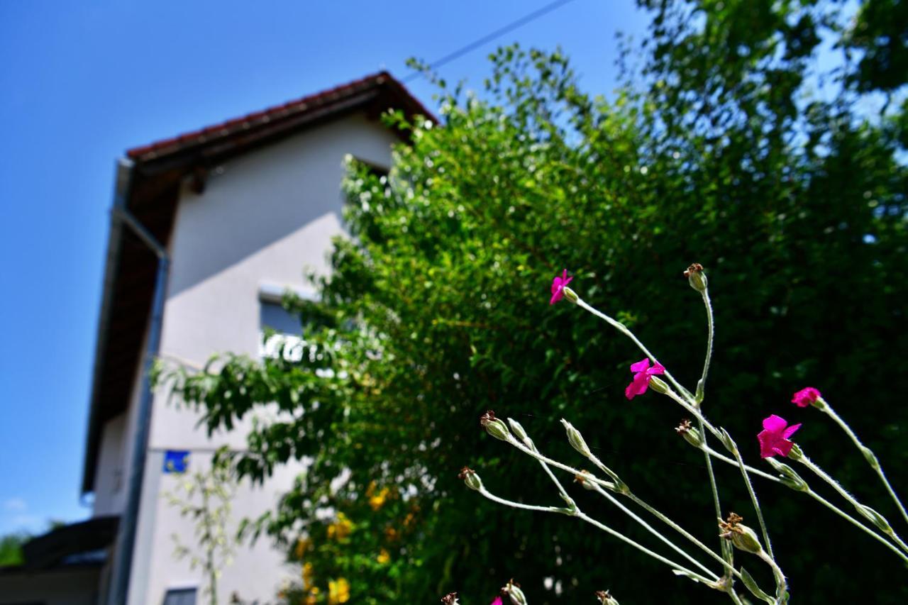 Apartment Stjepan Rakovica Extérieur photo